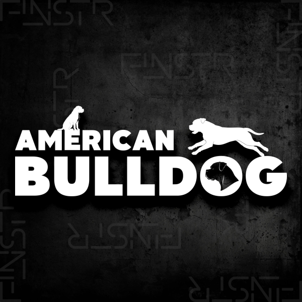 American Bulldog XXL Hundesticker